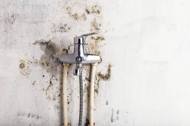 Best Mold Inspection  in Corry, PA