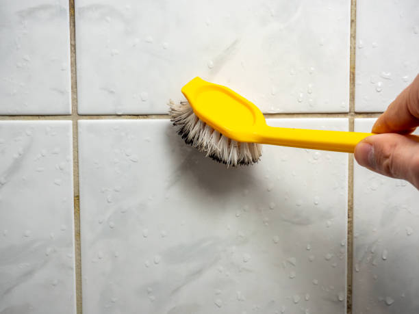Best Black Mold Removal  in Corry, PA