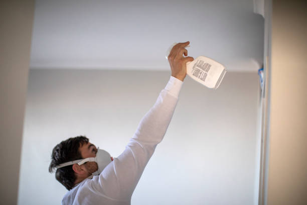Best Mold Damage Repair  in Corry, PA
